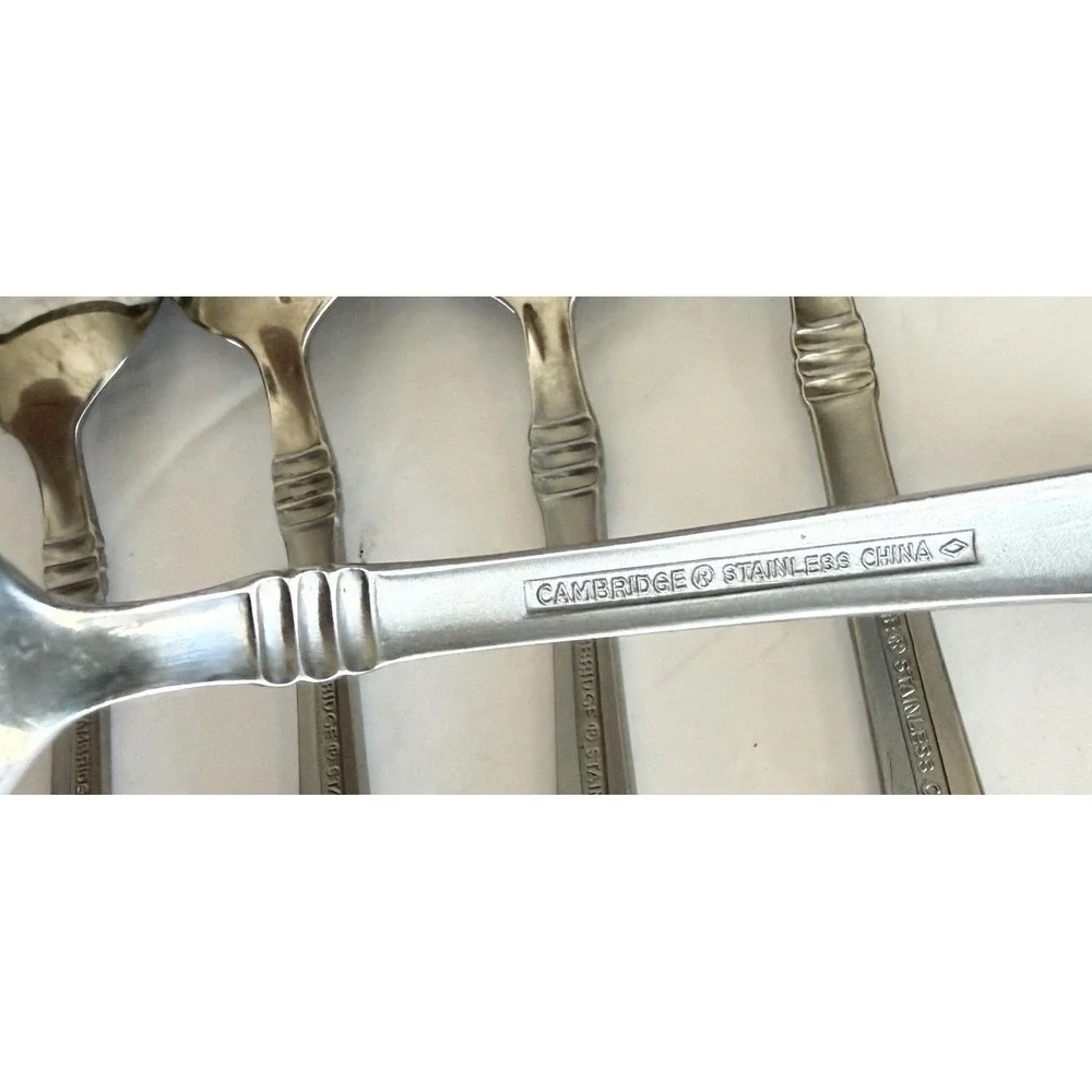 Set of 5 Cambridge Codie Sand Frost Stainless Teaspoons Flatware  6